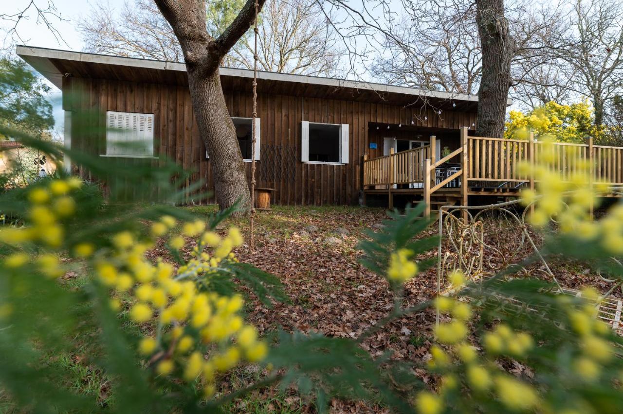 La Petite Maison Du Lac Biscarrosse Dış mekan fotoğraf